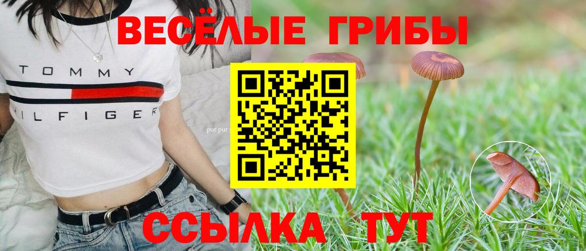 Галлюциногенные грибы мицелий Каменск-Уральский