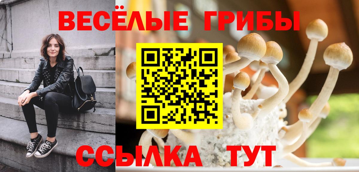 Галлюциногенные грибы мухоморы  Вход с VPN  Каменск-Уральский  Галлюциногенные грибы мухоморы 