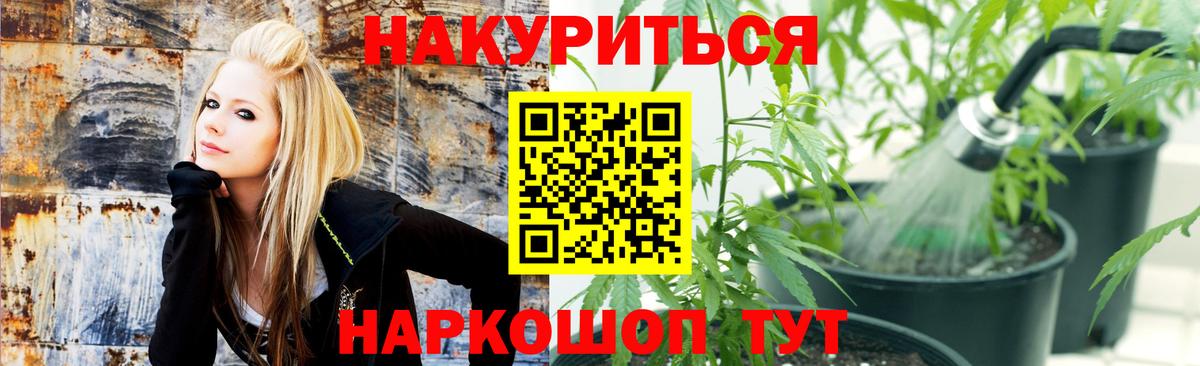 Бошки Шишки планчик  Вход с VPN  Конопля сатива  Каменск-Уральский  МАРИХУАНА VHQ 